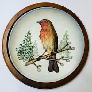 Goebel Wildlife Robin Wall Plate with Brown Frame 9”